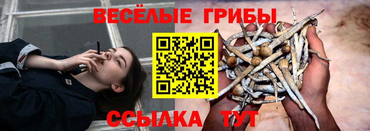 Псилоцибиновые грибы мицелий Курган