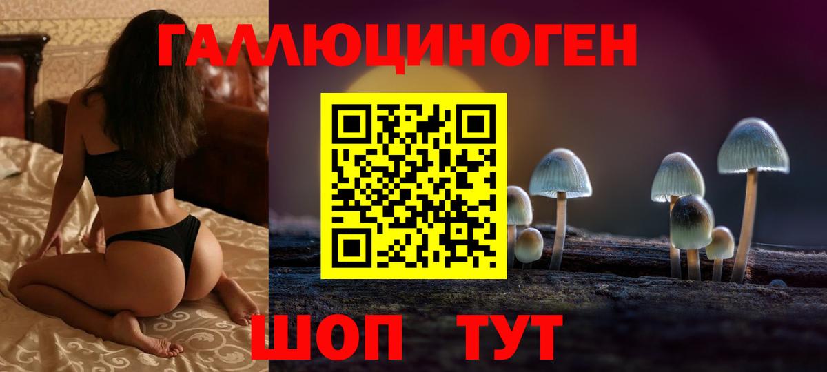 Курган  Псилоцибиновые грибы Psilocybe  даркнет сайт  Вход с VPN  Псилоцибиновые грибы MAGIC MUSHROOMS 